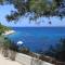 Foto: Apartments by the sea Cove Zastupac, Hvar - 8761 39/56