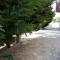 Apartment Ithakis Nea Iraklitsa