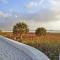 Bay Oaks - 6157 #E01