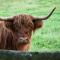 Bos en Heide