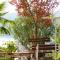 Apartments with parking space Rabac, Labin - 7410