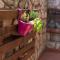Apartments with parking space Rijeka - 13976