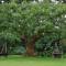 Marula Lodge