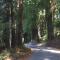 Pescadero Creek Inn