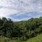 Eco Guest House - Sarapiquí 1