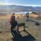 Tailor Made Tekapo Accommodation - Hostel
