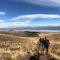 Tailor Made Tekapo Accommodation - Hostel