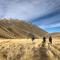 Tailor Made Tekapo Accommodation - Hostel