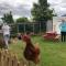 Tailor Made Tekapo Accommodation - Hostel