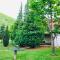 Villa ORKA Pelister - Forest Zone