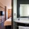 Ibis Torreon