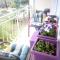 Goca Apartman