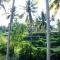 Alam Grigis Ubud - Ubud