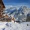 Le Skisud Cosy T3 Massif de Ecrins Puy St Vincent 1800 - 皮伊圣万桑
