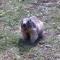 Le Skisud Cosy T3 Massif de Ecrins Puy St Vincent 1800 - 皮伊圣万桑