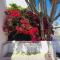 Apartamentos Maribel