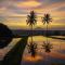 Ti Amo Bali