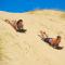 Adventure House - Colchester - 5km from Elephant Park