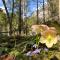 Landhaus Lilly