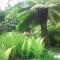 Kilmokea Garden Suite
