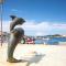 BUGA apartment in center of Mali Losinj