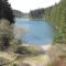 Fewo Am Wald 5