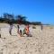 VVF Villages « La Plage du Médoc » Soulac-sur-Mer photo 14