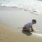 Holiday Apartment yannis on the beach of Agios Gordios in Corfu