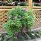 Beijing Jingyuan Courtyard Hotel