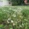 Green Side - Kotor