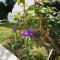 Nature Guesthouse