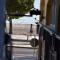 Rosesapparts A20deMar Triplex