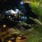 Summering Hotel
