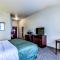 Cobblestone Inn & Suites - Waverly