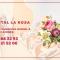 Hostal La Rosa
