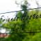 Friends Hostel Lviv Rustaveli str