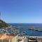 El Pla Playa