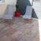 Le Margouillat photo 8