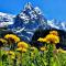 Loft4two - Meiringen