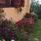 B&B Jonovic