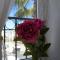 Villamartin plaza golf apt, SUPER spot