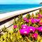 B&b Il sogno