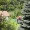 Cottage Forest Stream