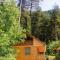 Guest House Ilia - Borjomi