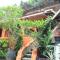 Jungle Inn Bukit lawang - 武吉拉旺