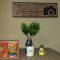 Friendly Apartment