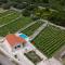 Vineyard House & Olive Grove House
