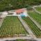 Vineyard House & Olive Grove House