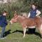Tourist farm Tonin