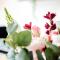 Hollo Apartment - PRIVATE GARAGE - A/C